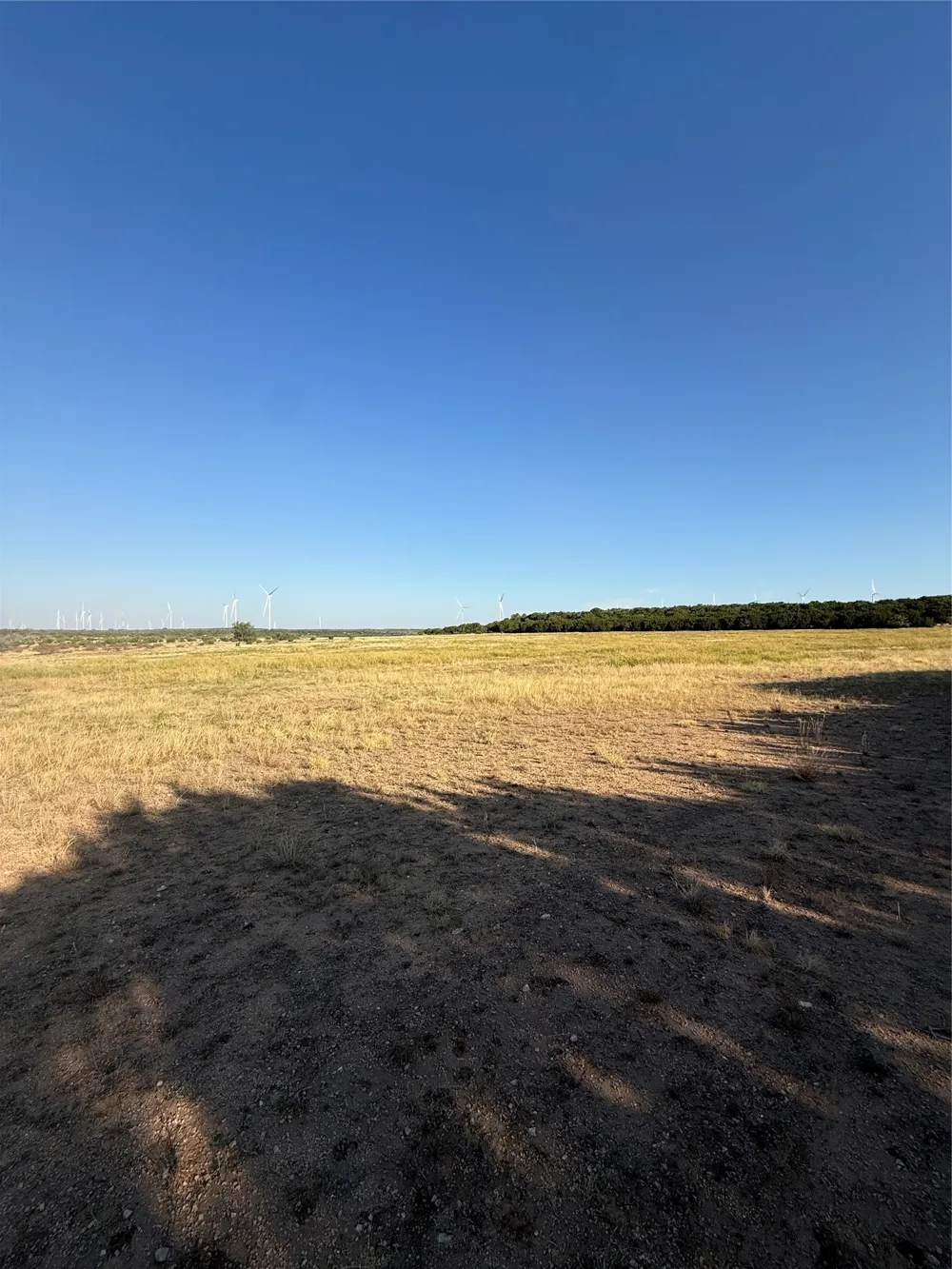2033 CR 351 Merkel, TX 79536