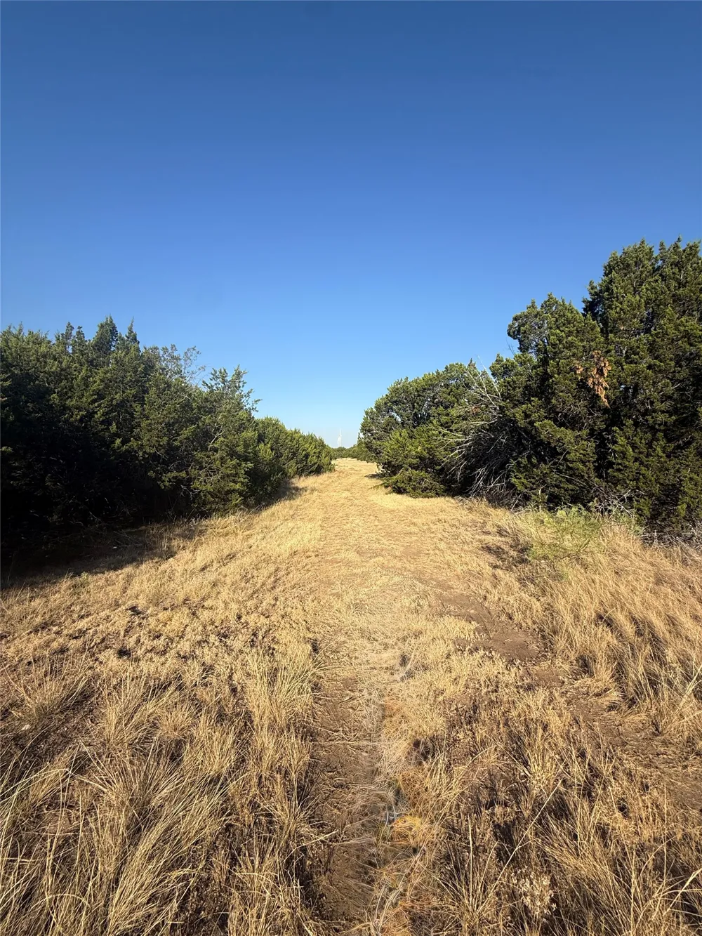 2033 CR 351 Merkel, TX 79536