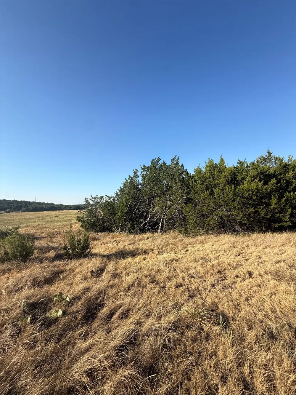 2033 CR 351 Merkel, TX 79536