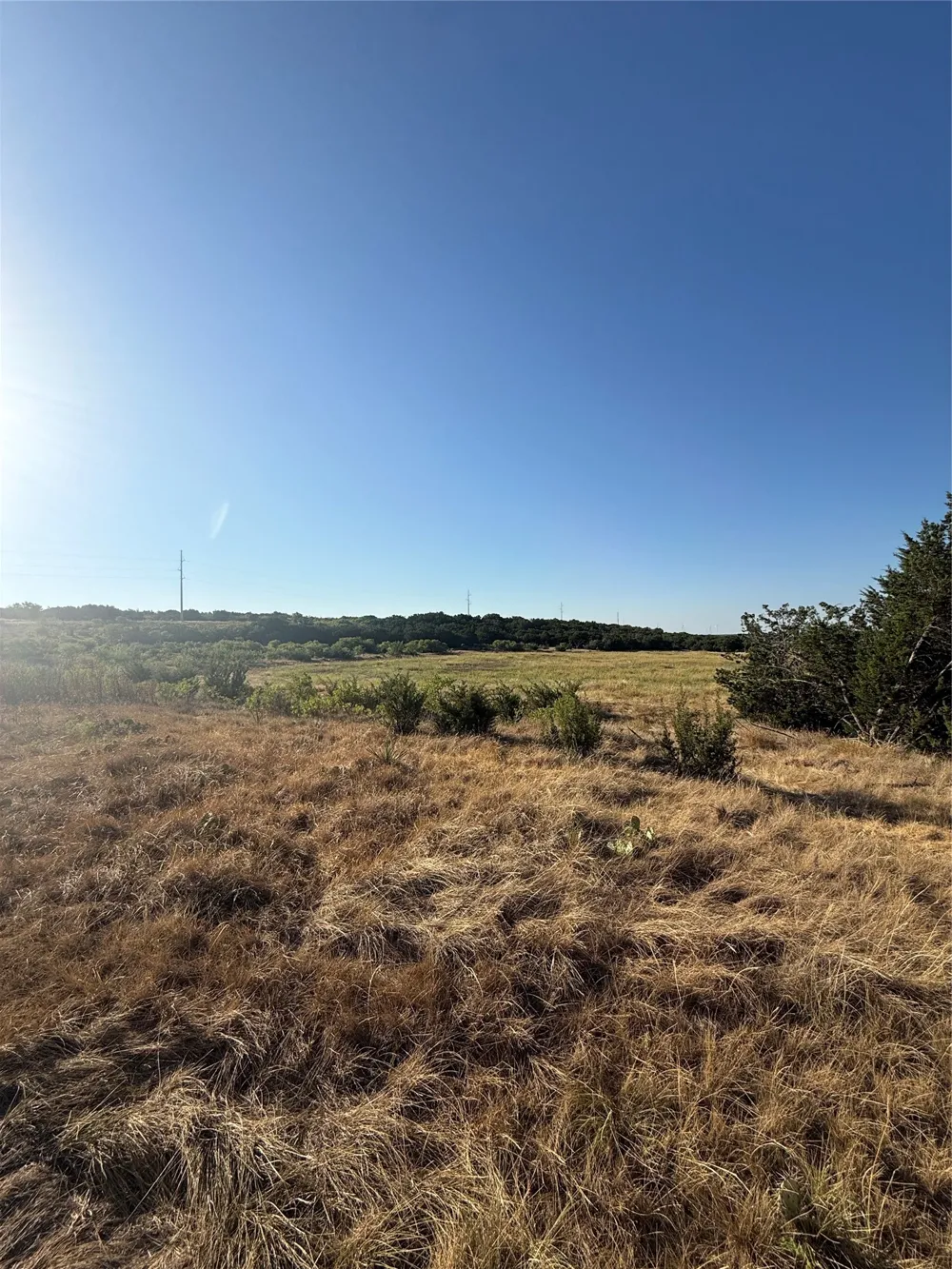2033 CR 351 Merkel, TX 79536