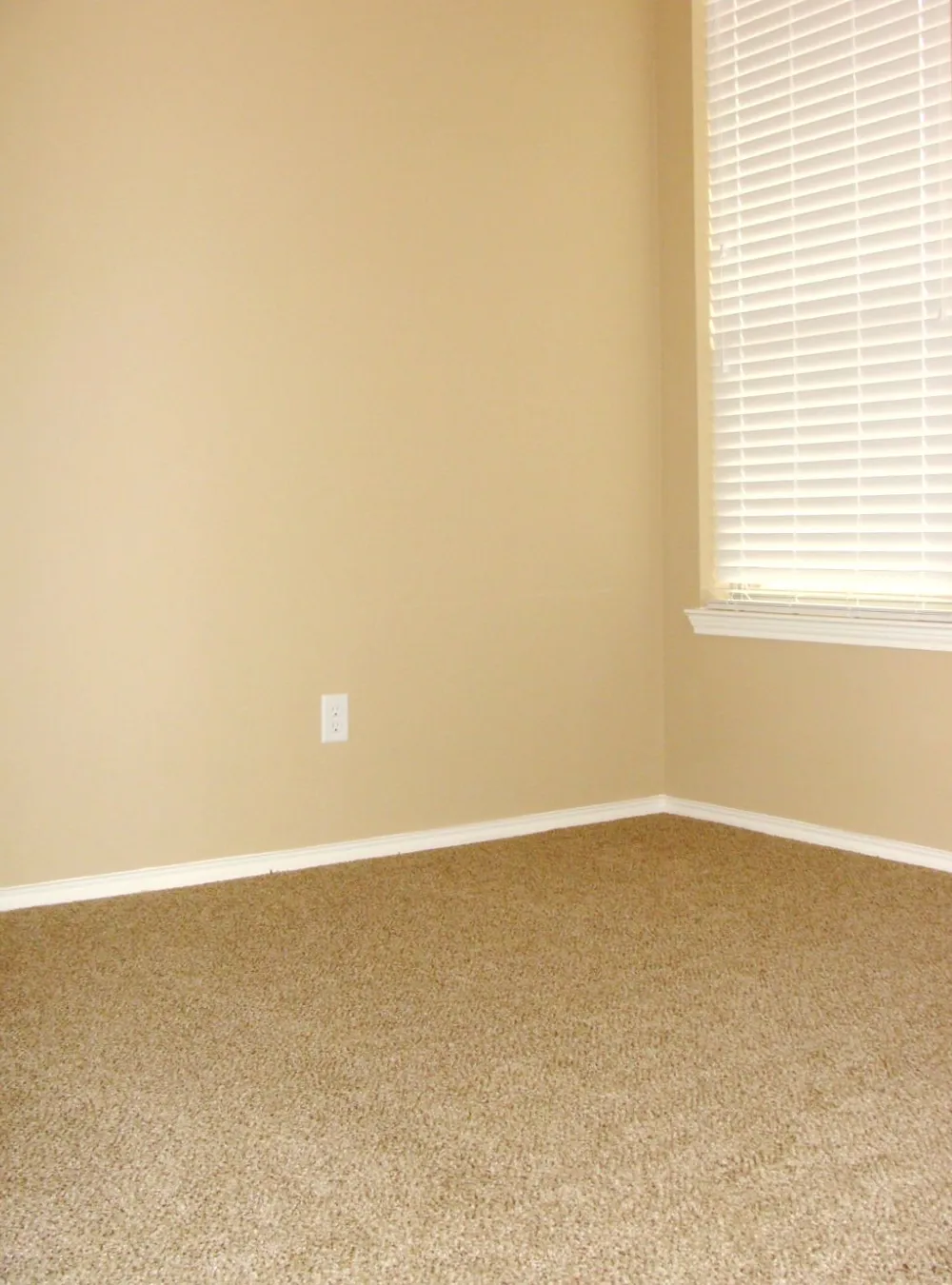 1432 Ravenwood Drive Mansfield, TX 76063