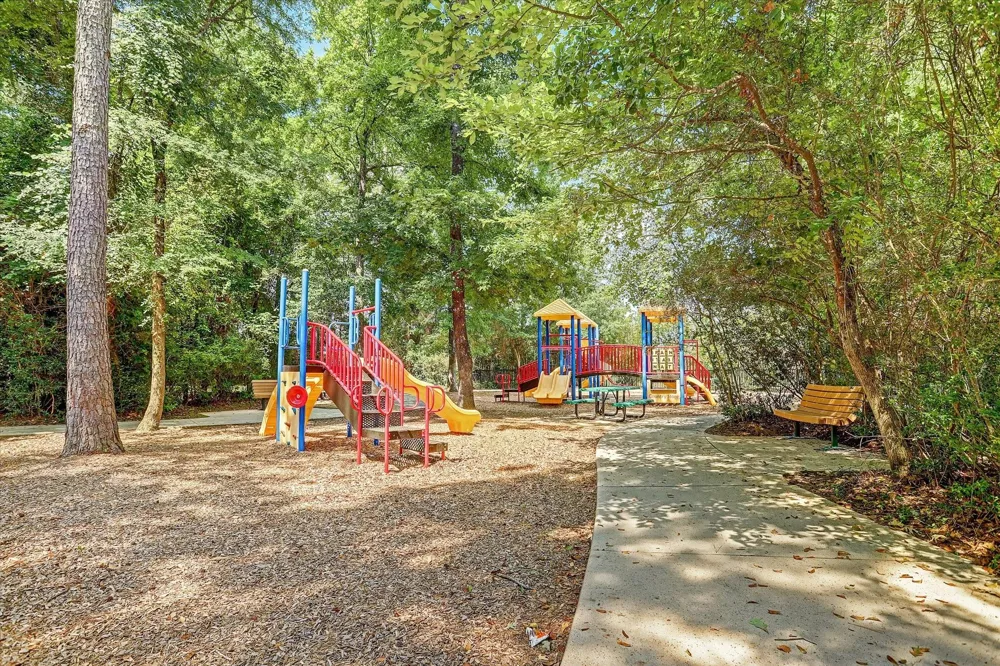 31734 Serrano Bluff Lane Spring, TX 77386