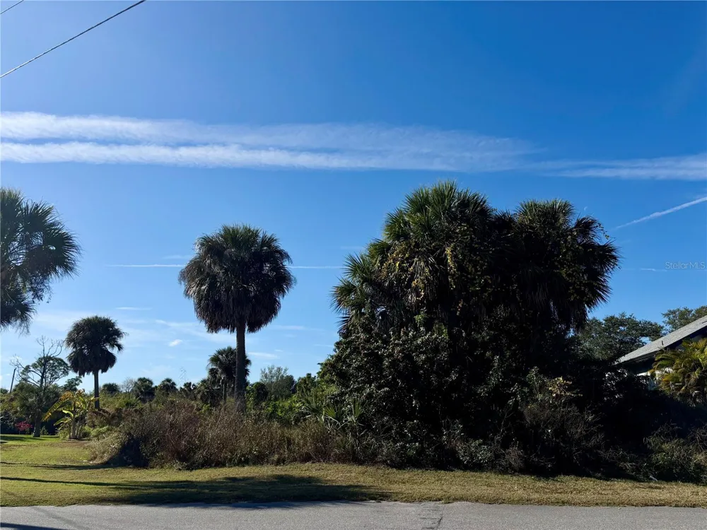 13349 TOLMAN AVENUE Port Charlotte, FL 33953