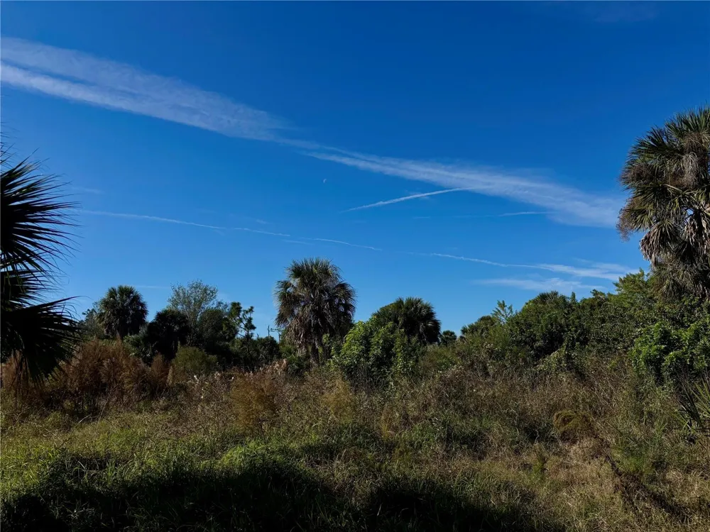 13349 TOLMAN AVENUE Port Charlotte, FL 33953