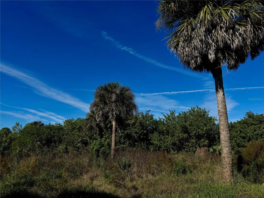 13349 TOLMAN AVENUE Port Charlotte, FL 33953