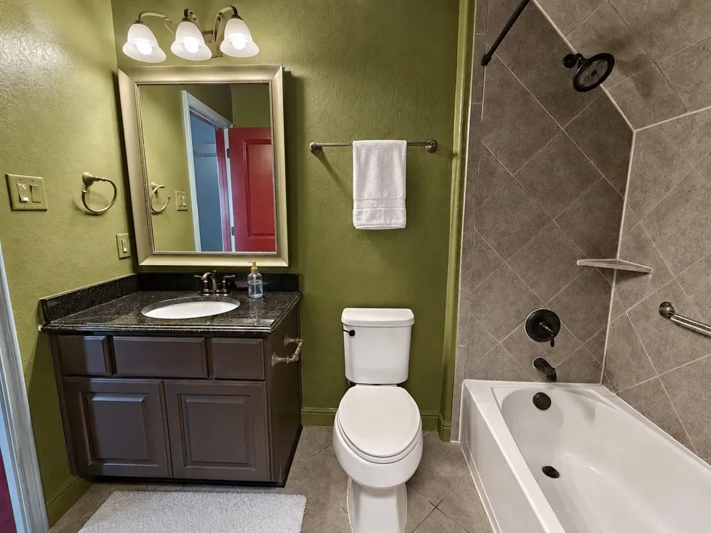 3908 Sandhills Pine Cove Spring, TX 77386