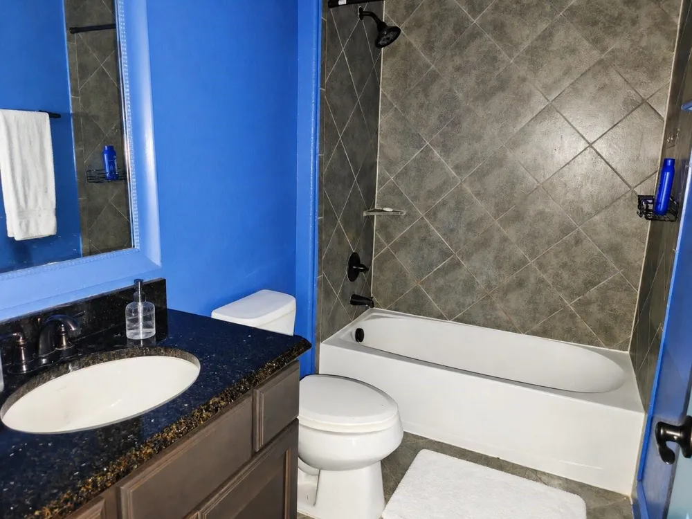 3908 Sandhills Pine Cove Spring, TX 77386