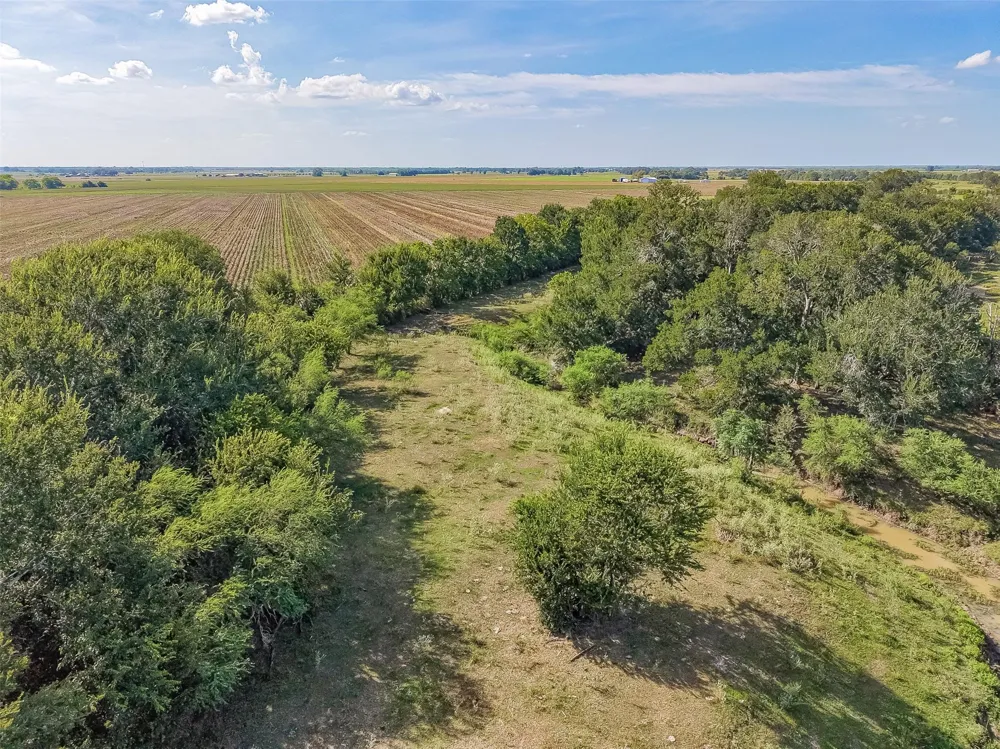 10542 Walker Road Beasley, TX 77417
