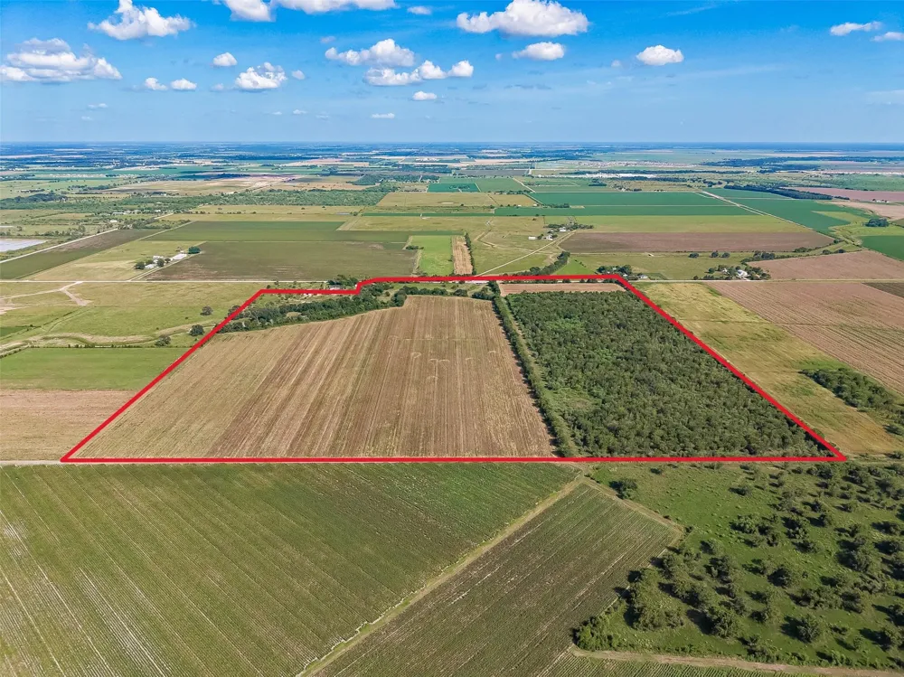 10542 Walker Road Beasley, TX 77417