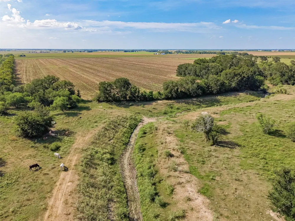 10542 Walker Road Beasley, TX 77417