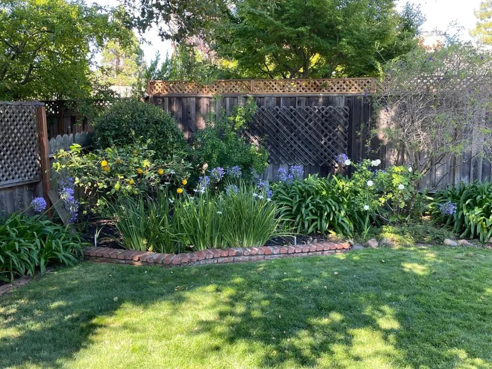 356 Stanford Avenue Menlo Park, CA 94025
