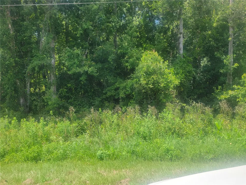 2204 CR-305 Bunnell, FL 32110