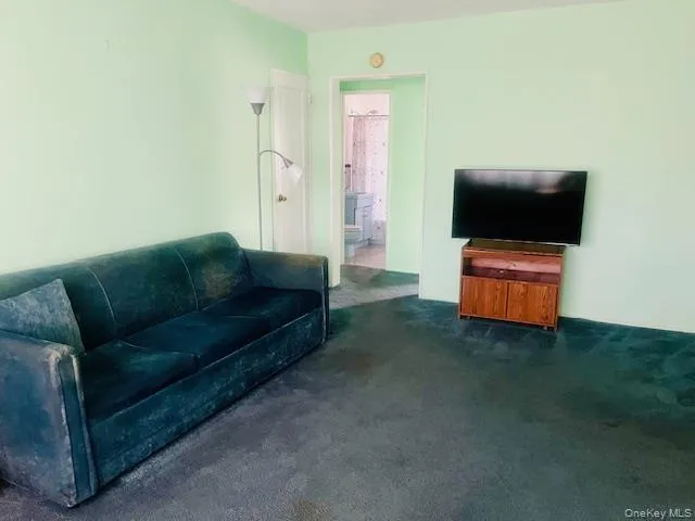 249-32 63rd Avenue #41227 Little Neck, NY 11362