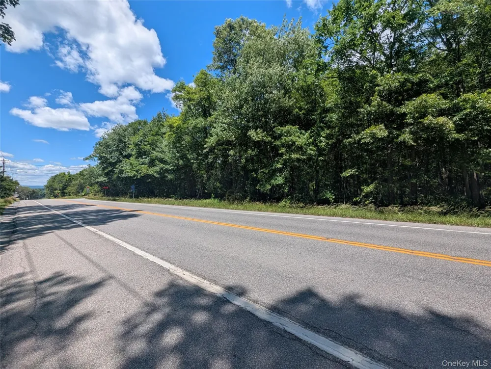 Address Not Shown Montgomery, NY 12549