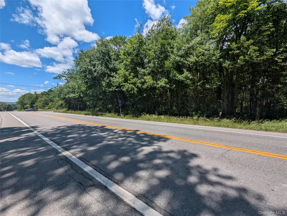 Address Not Shown Montgomery, NY 12549
