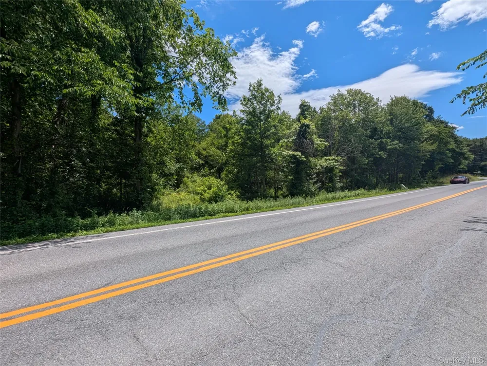 Address Not Shown Montgomery, NY 12549