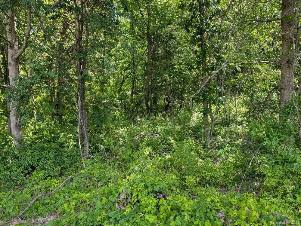 Address Not Shown Montgomery, NY 12549