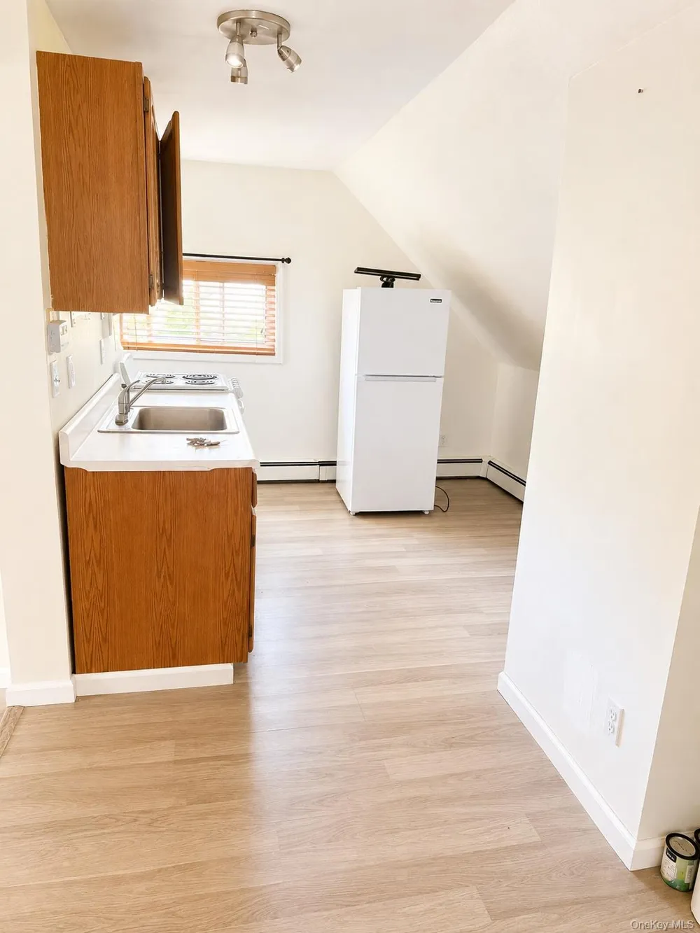 361 Twin S lane Wantagh, NY 11793