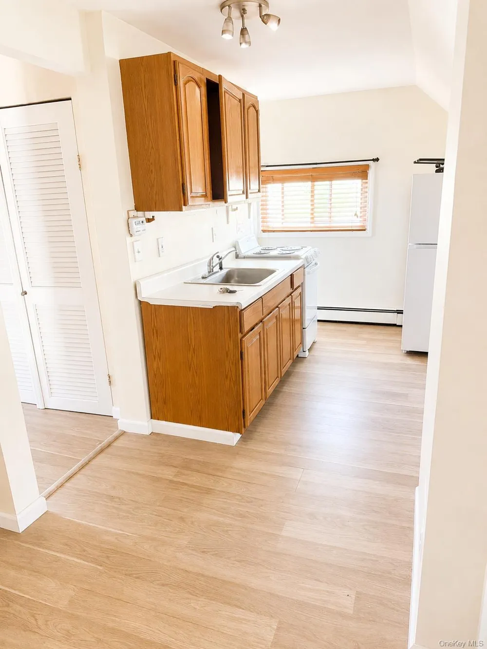 361 Twin S lane Wantagh, NY 11793