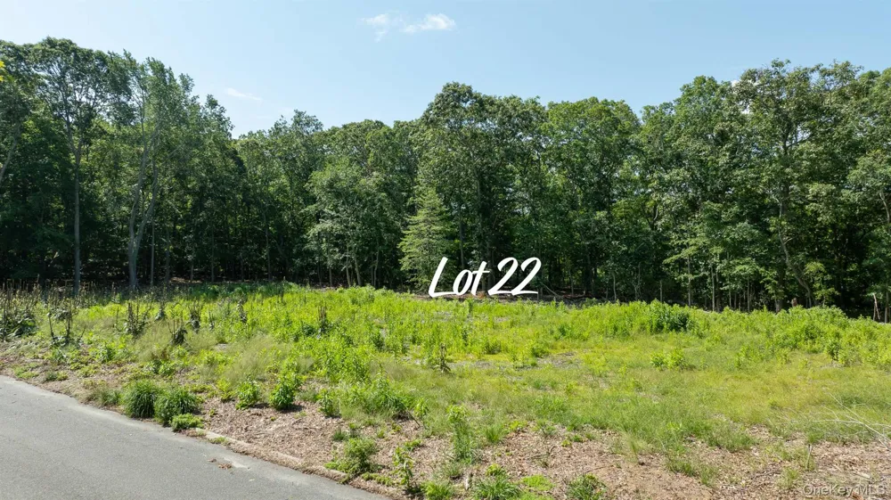 22 Inlet View Path East Moriches, NY 11940