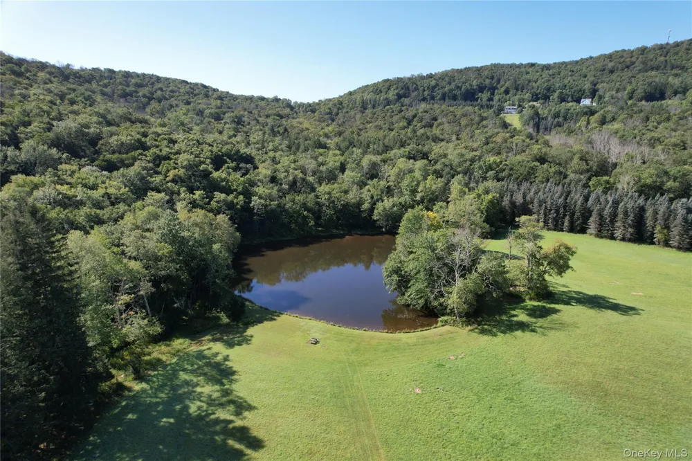 600 Jeffersonville North Branch Road North Branch, NY 12766