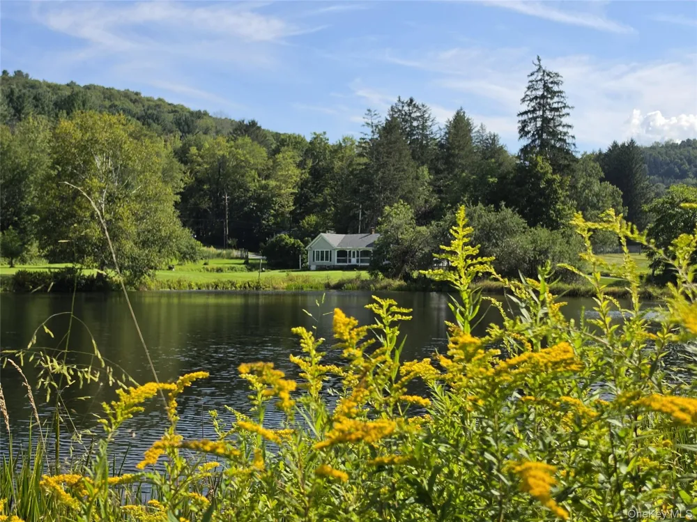 600 Jeffersonville North Branch Road North Branch, NY 12766