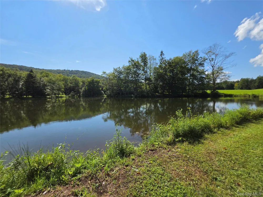 600 Jeffersonville North Branch Road North Branch, NY 12766