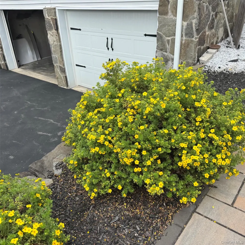 7 Laura Road Monroe, NY 10950