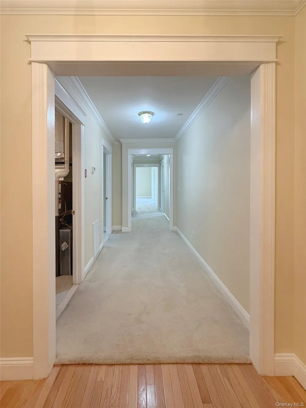 19 Cropsey Street #1 D Warwick, NY 10990