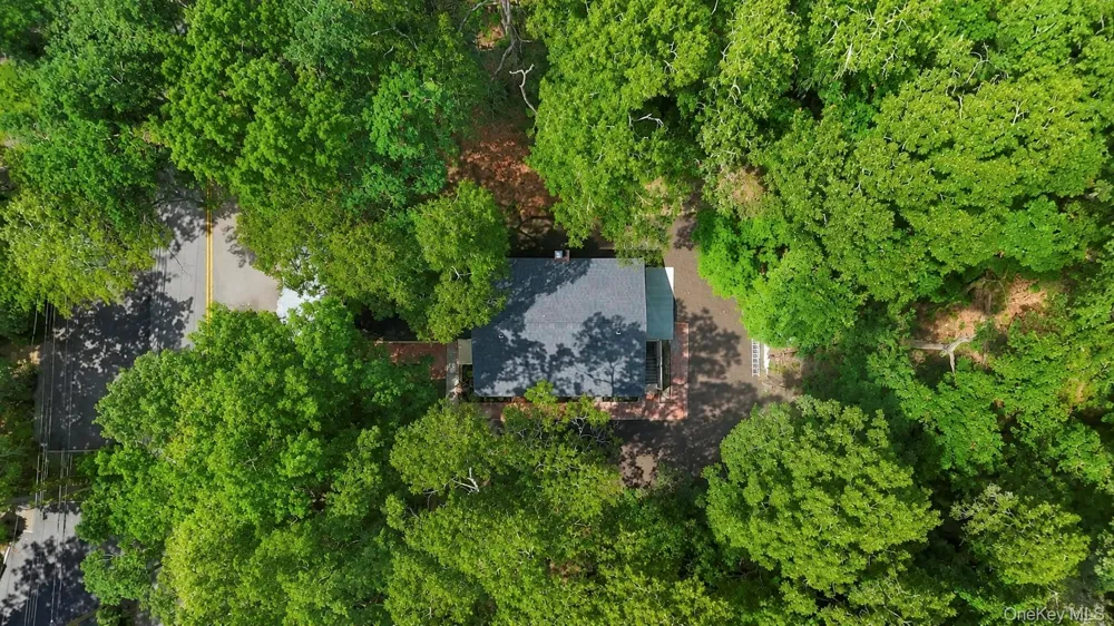 234 Lakeside Trail Ridge, NY 11961