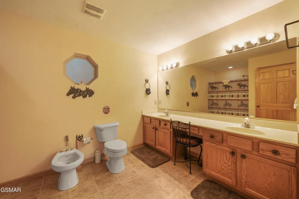 1029 Shadow Ridge Drive Sevierville, TN 37862