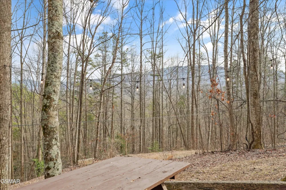 1103 Villa Lane Gatlinburg, TN 37738