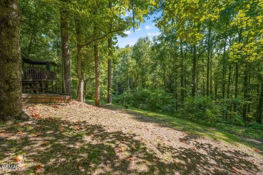 1103 Villa Lane Gatlinburg, TN 37738