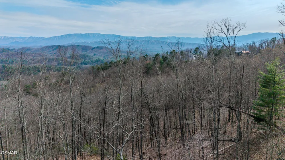 1 Shell Mountain Road Sevierville, TN 37876