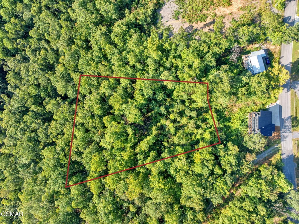 1 Shell Mountain Road Sevierville, TN 37876
