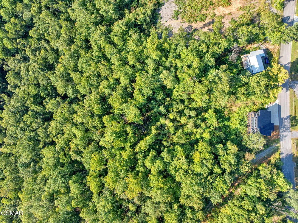 1 Shell Mountain Road Sevierville, TN 37876
