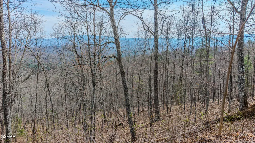 1 Shell Mountain Road Sevierville, TN 37876
