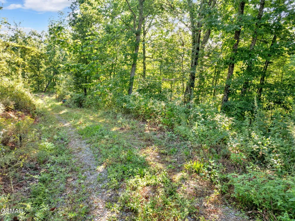 1 Shell Mountain Road Sevierville, TN 37876