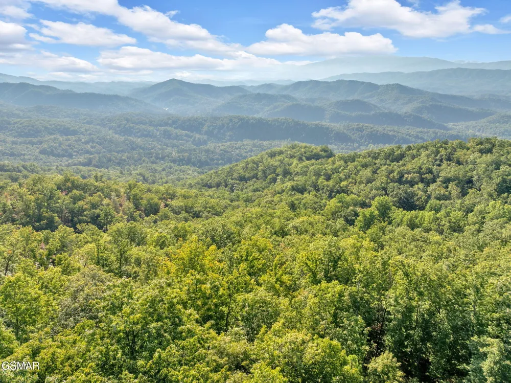 1 Shell Mountain Road Sevierville, TN 37876