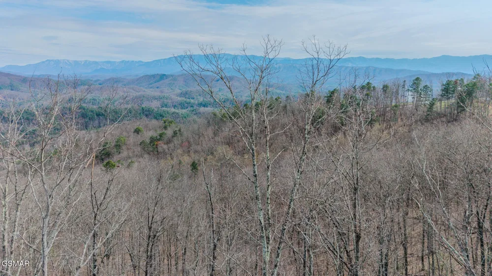 1 Shell Mountain Road Sevierville, TN 37876