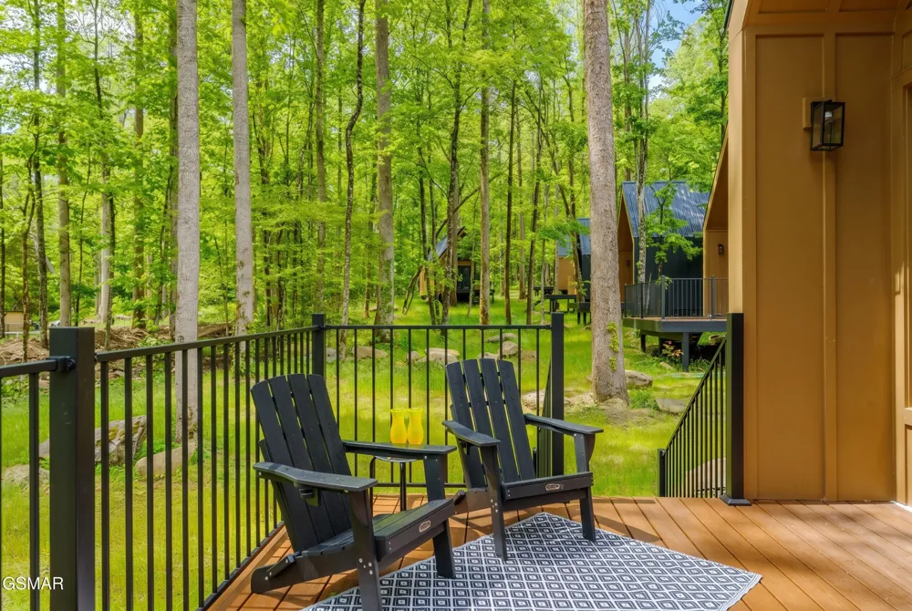 216 Braydens Way Gatlinburg, TN 37738