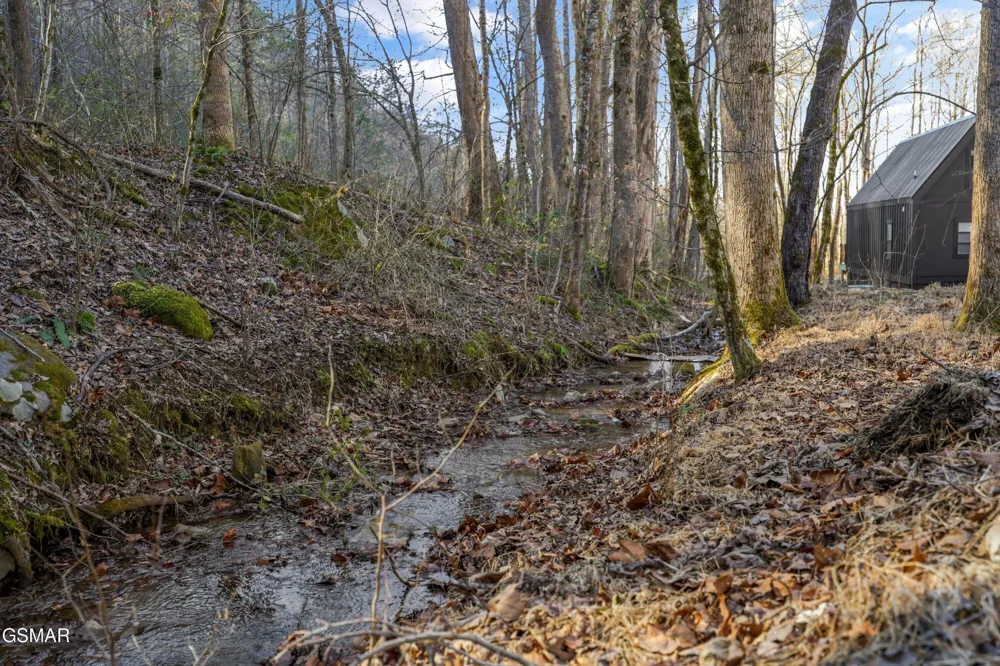 216 Braydens Way Gatlinburg, TN 37738
