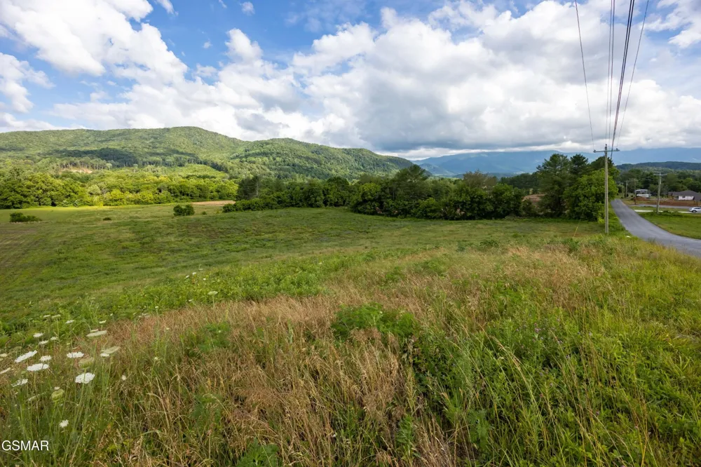 32 Holders Grove Road Cosby, TN 37722