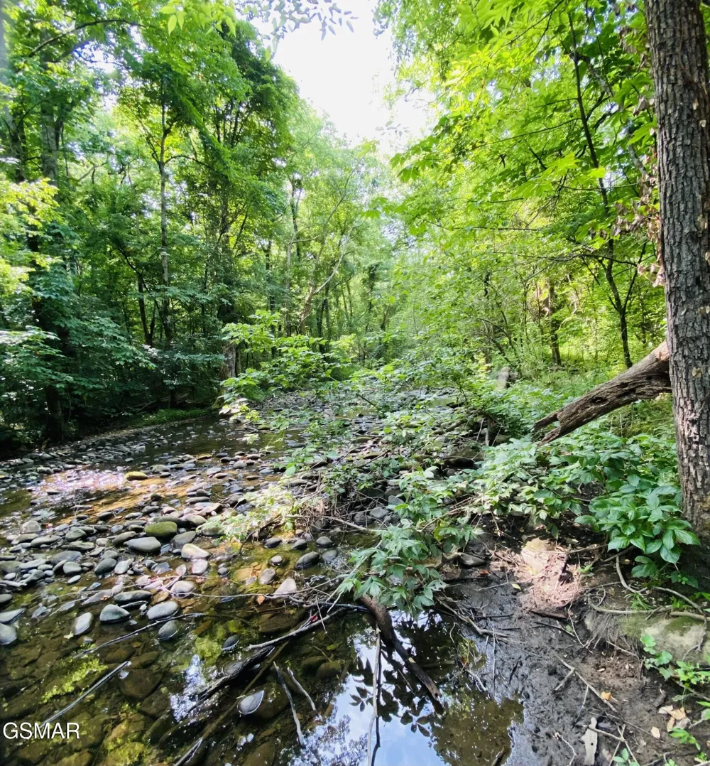32 Holders Grove Road Cosby, TN 37722