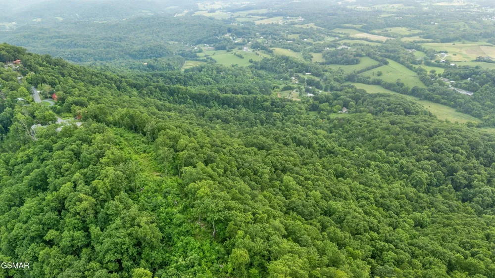 5 Shell Mountain Road Sevierville, TN 37876