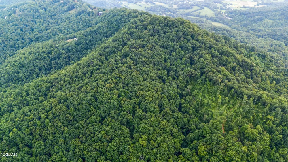 5 Shell Mountain Road Sevierville, TN 37876