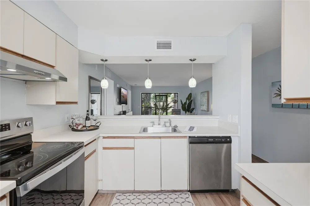 3001 58TH AVENUE S #609 St Petersburg, FL 33712