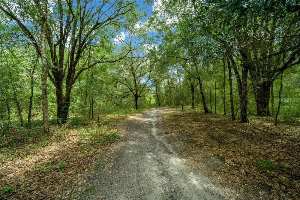 TBD SW 131ST TERRACE Dunnellon, FL 34432