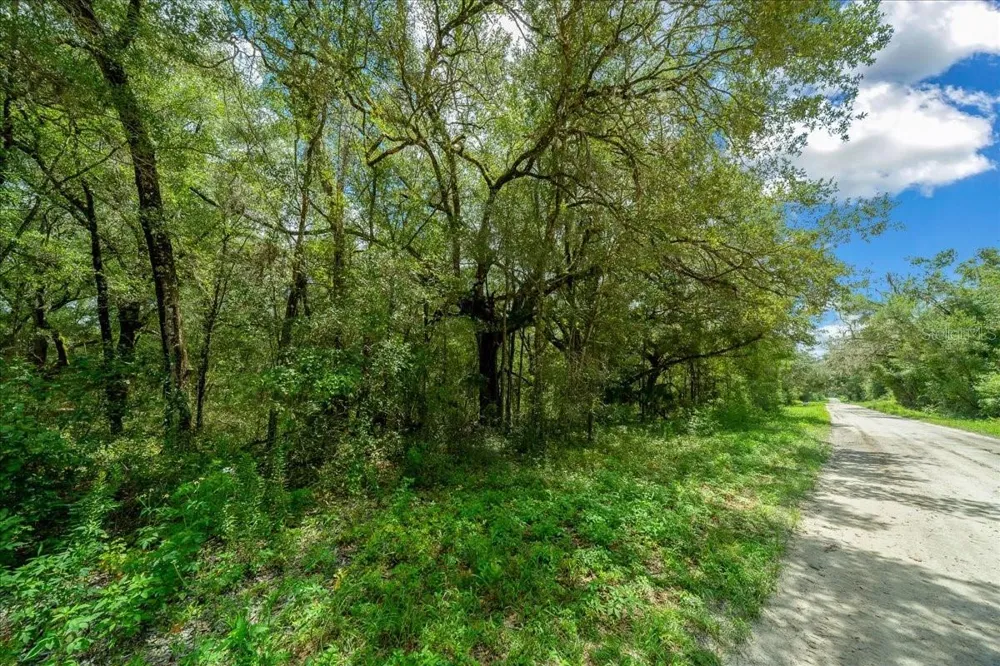 TBD SW 131ST TERRACE Dunnellon, FL 34432