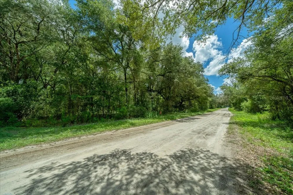 TBD SW 131ST TERRACE Dunnellon, FL 34432
